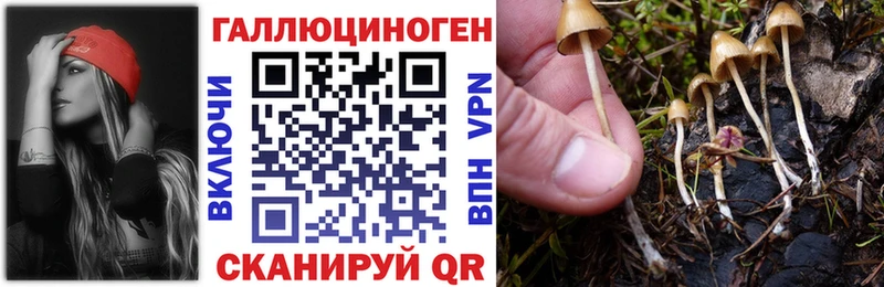 Галлюциногенные грибы Cubensis  Купить  Торжок 